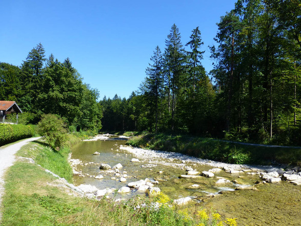 Am Auerbach zwischen Bad Trißl und Inn