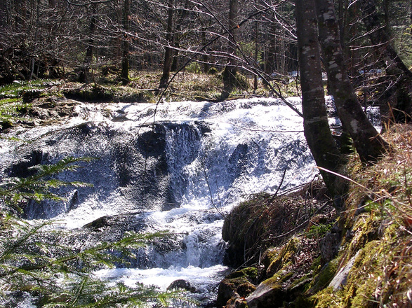 Wasserfall am Fluderbach
