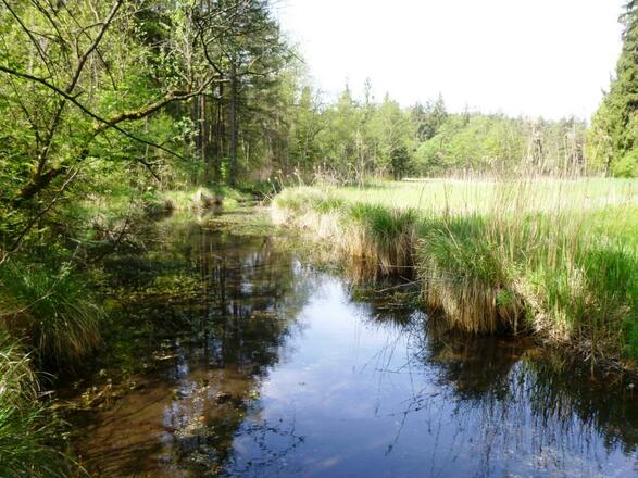 Natur erleben im Chiemsee-Alpenland