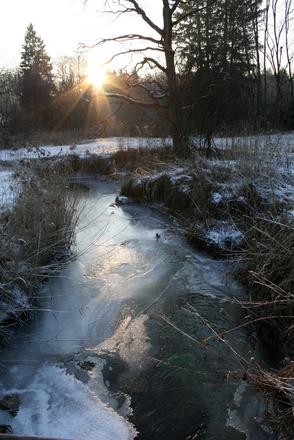 Die Samerberger Filze ist auch im Winter zauberhaft
