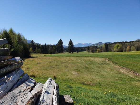 Blick in die Samerberger Filze von Grainbach