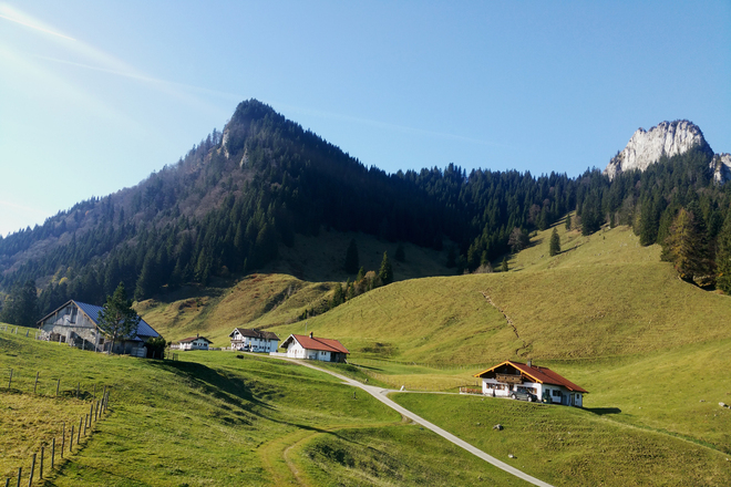 Daffnerwald-Almen unterhalb des Heubergs