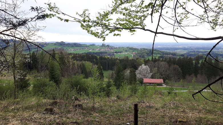 Blick nach Törwang von der Almrunde