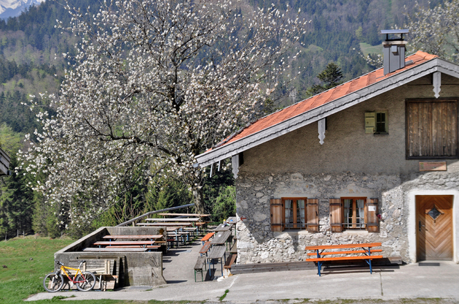 Wagner Alm