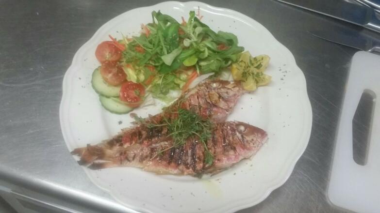 viele Fischgerichte