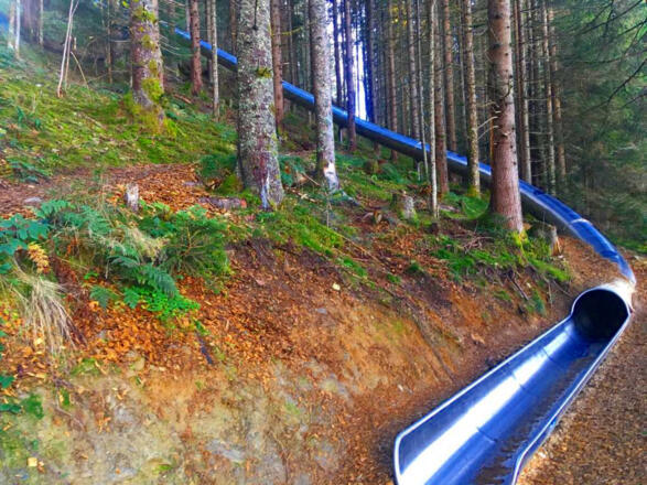 Waldrutschenpark Hochkönig