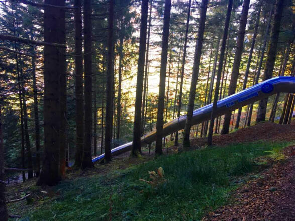 Waldrutschenpark Hochkönig