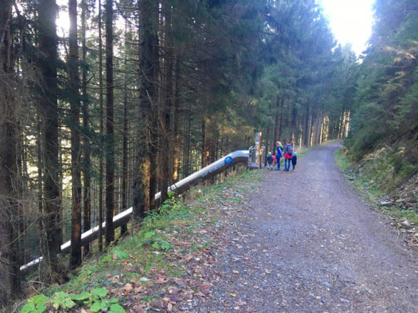Waldrutschenpark Hochkönig
