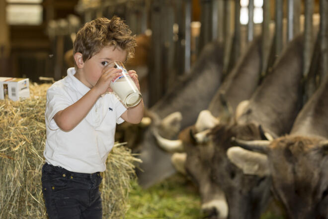 SchauBauernhof und Genusslöffeln von frischer Heumilch