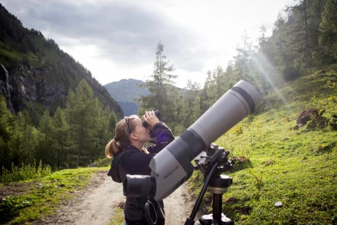 NP Exkursionen durchs Raurisertal