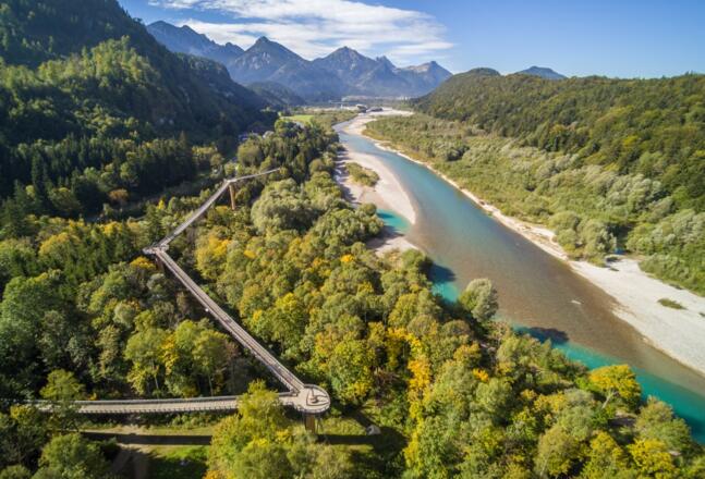 Baumkronenweg am Lechh