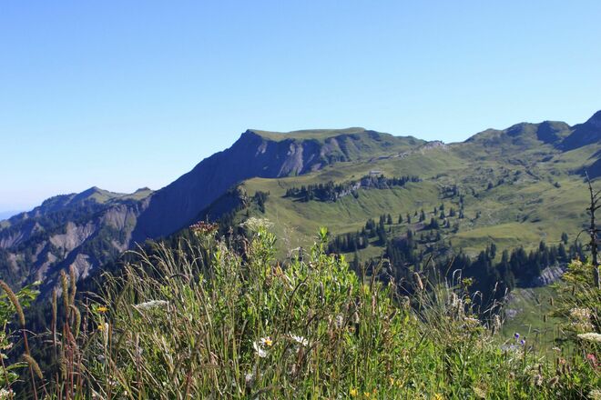 Hoher Freschen Wanderung