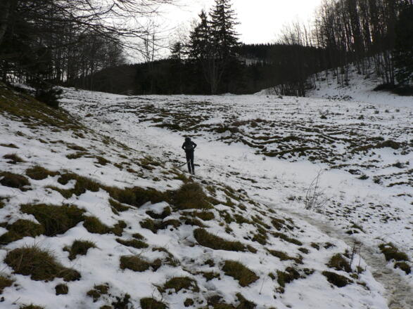 ... dann durch das Weidegebiet zieht sich der Weg zum Sulzbodensattel