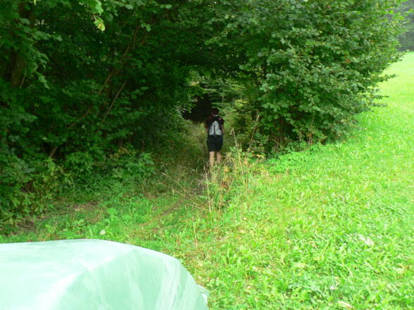 ... um wenige Meter später nach links in den Hohlweg abzuzweigen