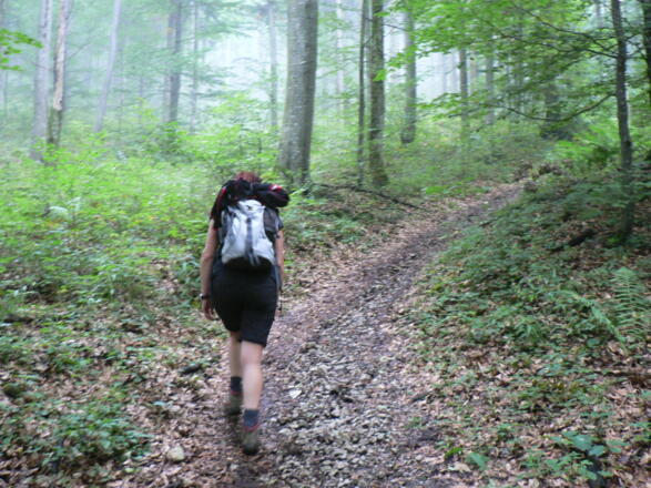 Der Anstieg führt direkt und geradeaus hinauf