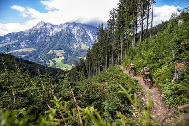 Antonius Trail