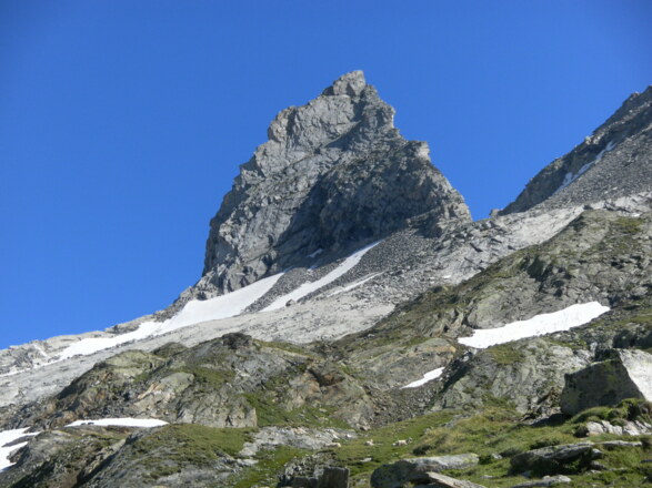 Zsigmondyspitze - Südwand in voller Pracht