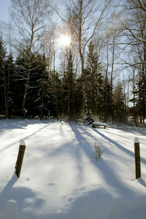 Kendlmühlfilze im Winter