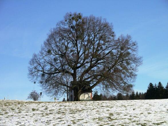 Kapelle bei Halfing