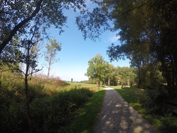 Schattiger Wegabschnitt