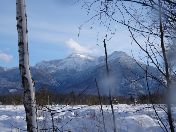 Kendlmühlfilze im Winter