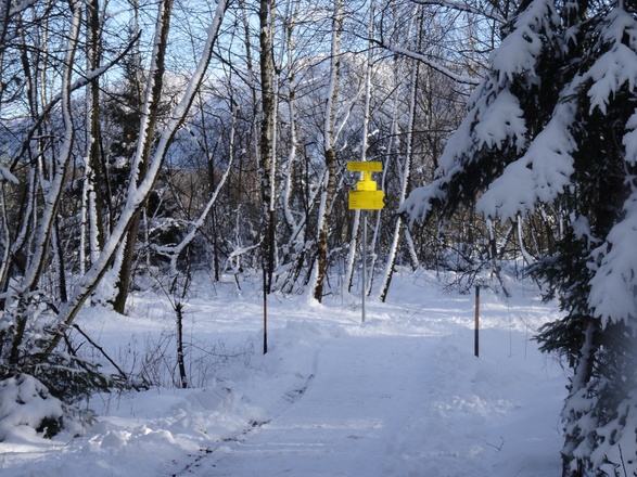 Geräumter winterwanderweg in der Kendlmühlfilze in Grassau