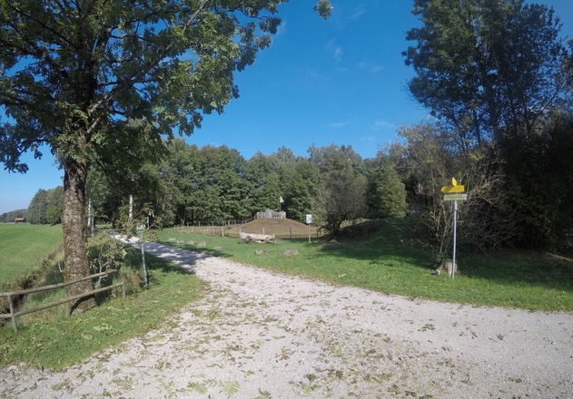 Vorbei am Moorerlebnisweg