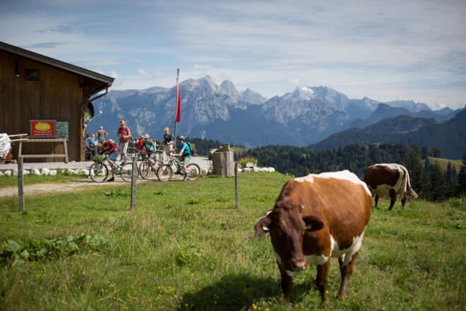 Jausenstation Wildalm im Heutal/Unken