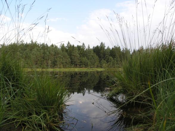 "Grundloser See" bei Gstadt