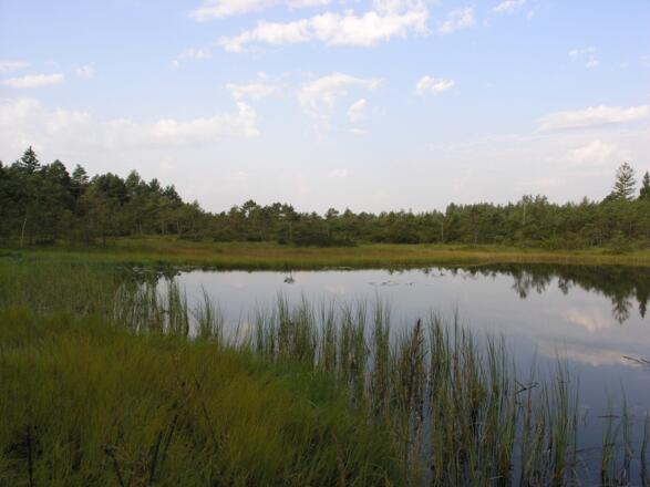 "Grundloser See" bei Gstadt