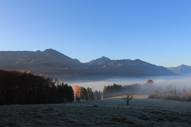 Morgenstimmung Holzhausen Richtung bergen