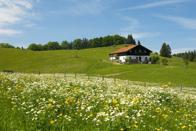 Moier Alm
