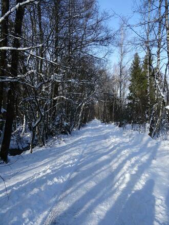 Winterwandern in der Kendlühlfilze