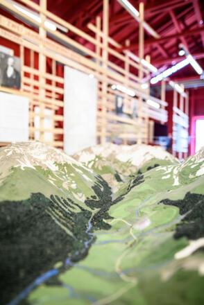 Rhein-Schauen-Lustenau 04 (c)MATTHIAS_RHOMBERG