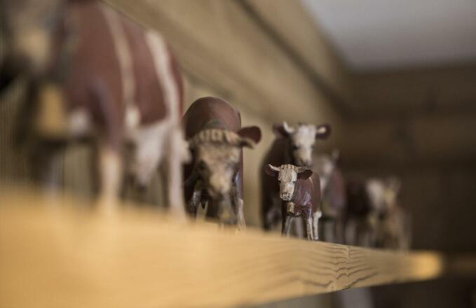 chalet-lech-luxuschalet-am-arlberg-lech-lodge-Phil