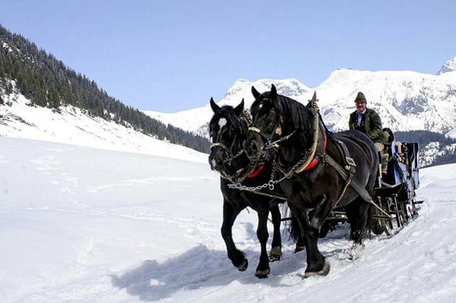 ...eine Kutschenfahrt...