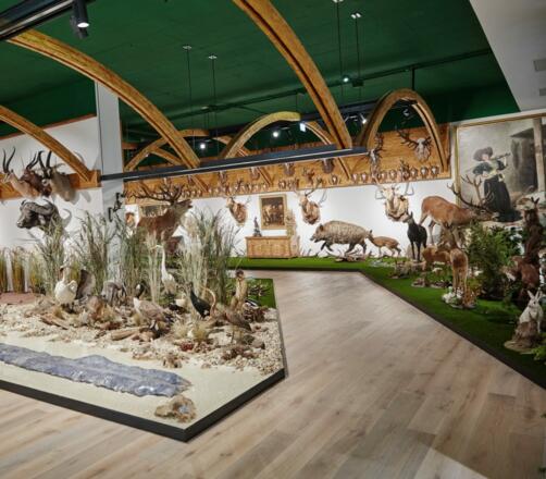 Arche Noah Sammlung Natur