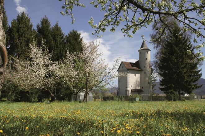 Textildruckmuseum Mittelweiherburg Hard