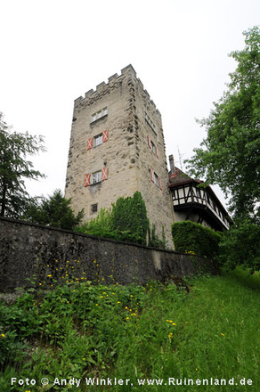 Wolfurt, Schloss Wolfurt