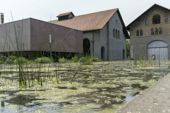 Inatura Erlebnisnaturschau und Kunstraum Dornburn