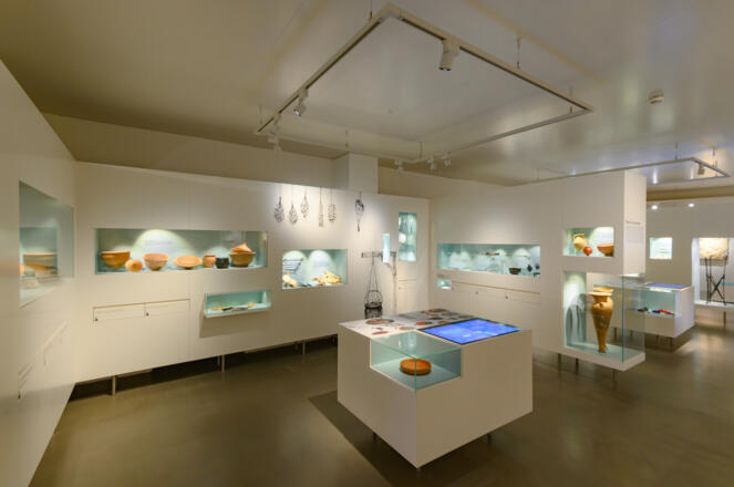 museum_lauriacum_0057