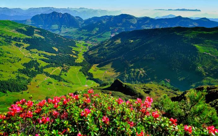 Reitherkogelbahn Reith im Alpbachtal
