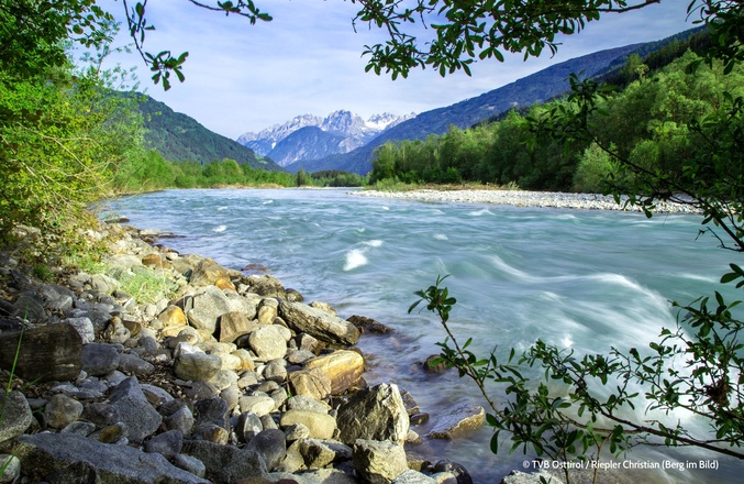 Die Isel im Iseltal