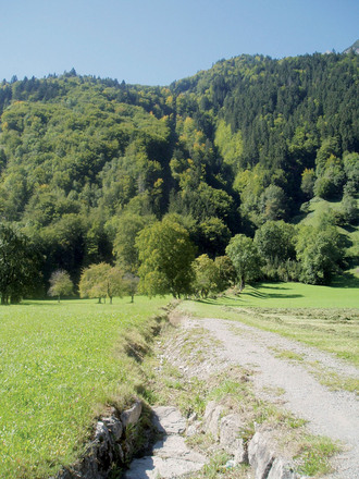 Gluandigraben