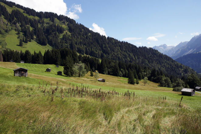 Heuhütten im Vorsäß Au-Schoppernau