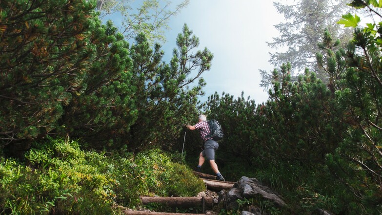 Aufstieg zum Gipfel Dürrnbachhorn
