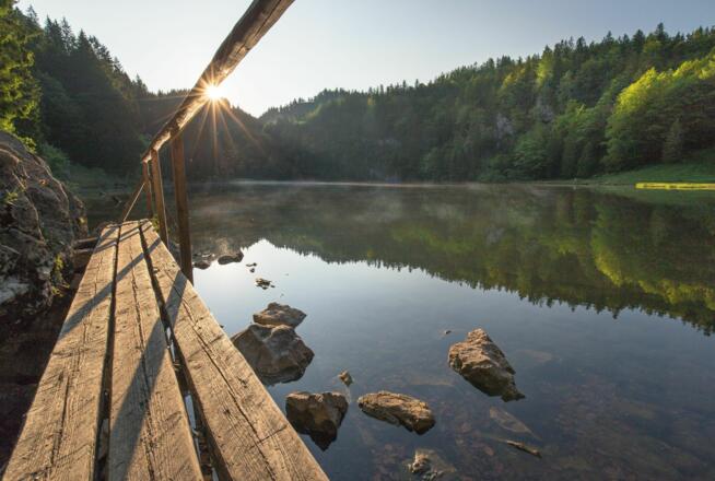 Brücke am Taubensee