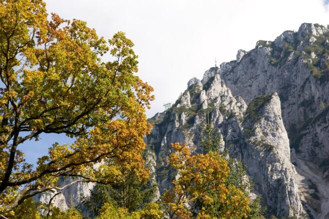 Blick auf den Rauschberg