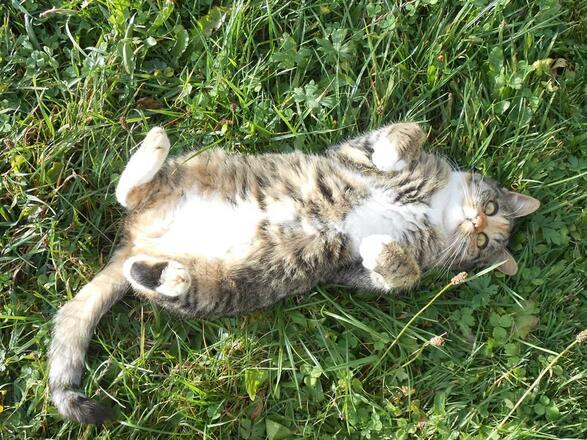 Unsere Mitzi