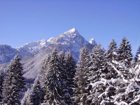 Hausberg Schober